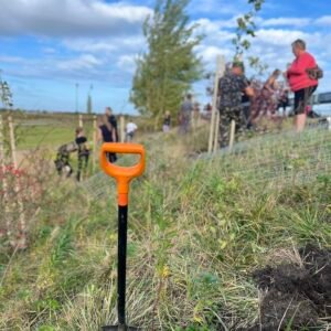 alej-ktera-spojuje-lidi-i-krajinu-sazeni-stromu-v-dolni-lhote