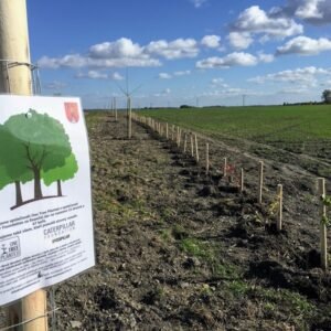 oaza-podel-cyklostezky-v-novem-straseci