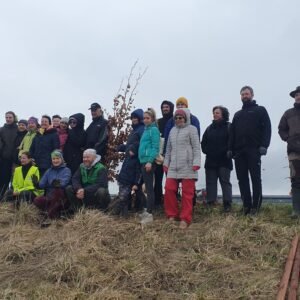 vysadba-aleje-stromu-pro-dalsi-generace