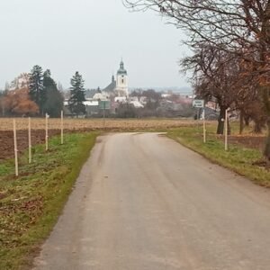 dosadba-tresnove-aleje-u-senice-na-hane