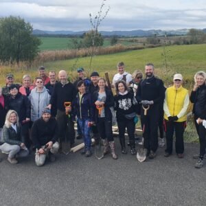 vysadba-dlouhoveke-aleje-v-pribore